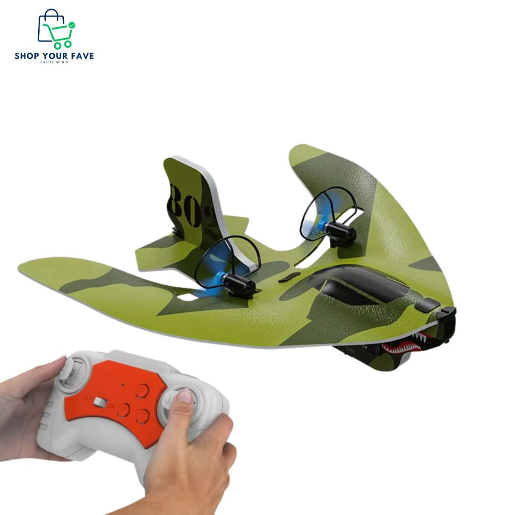 Mini 2.4G RC Airplane