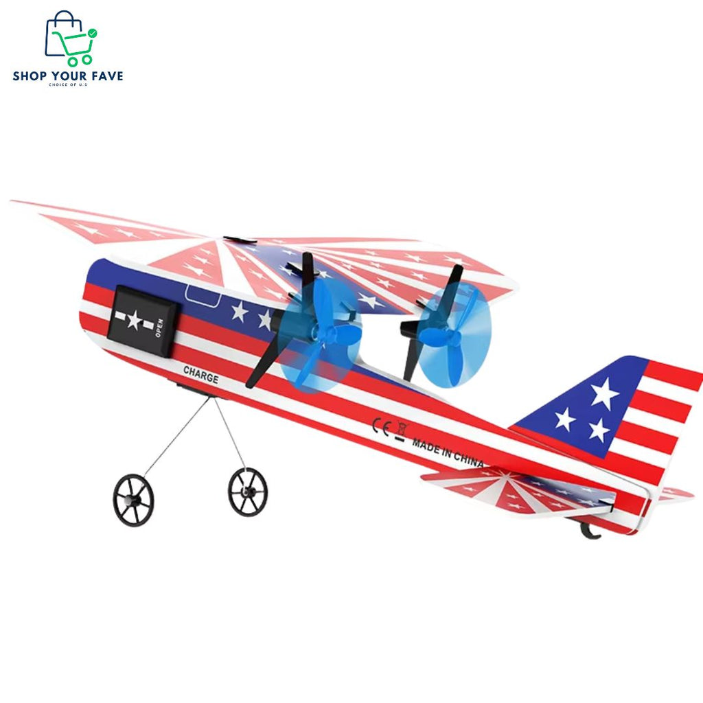 Mini 2.4G RC Airplane