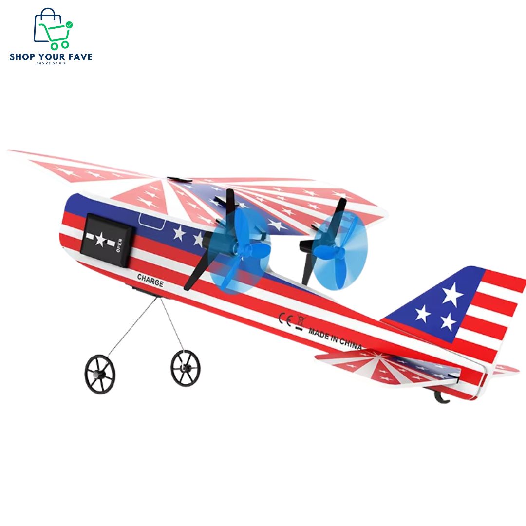Mini 2.4G RC Airplane