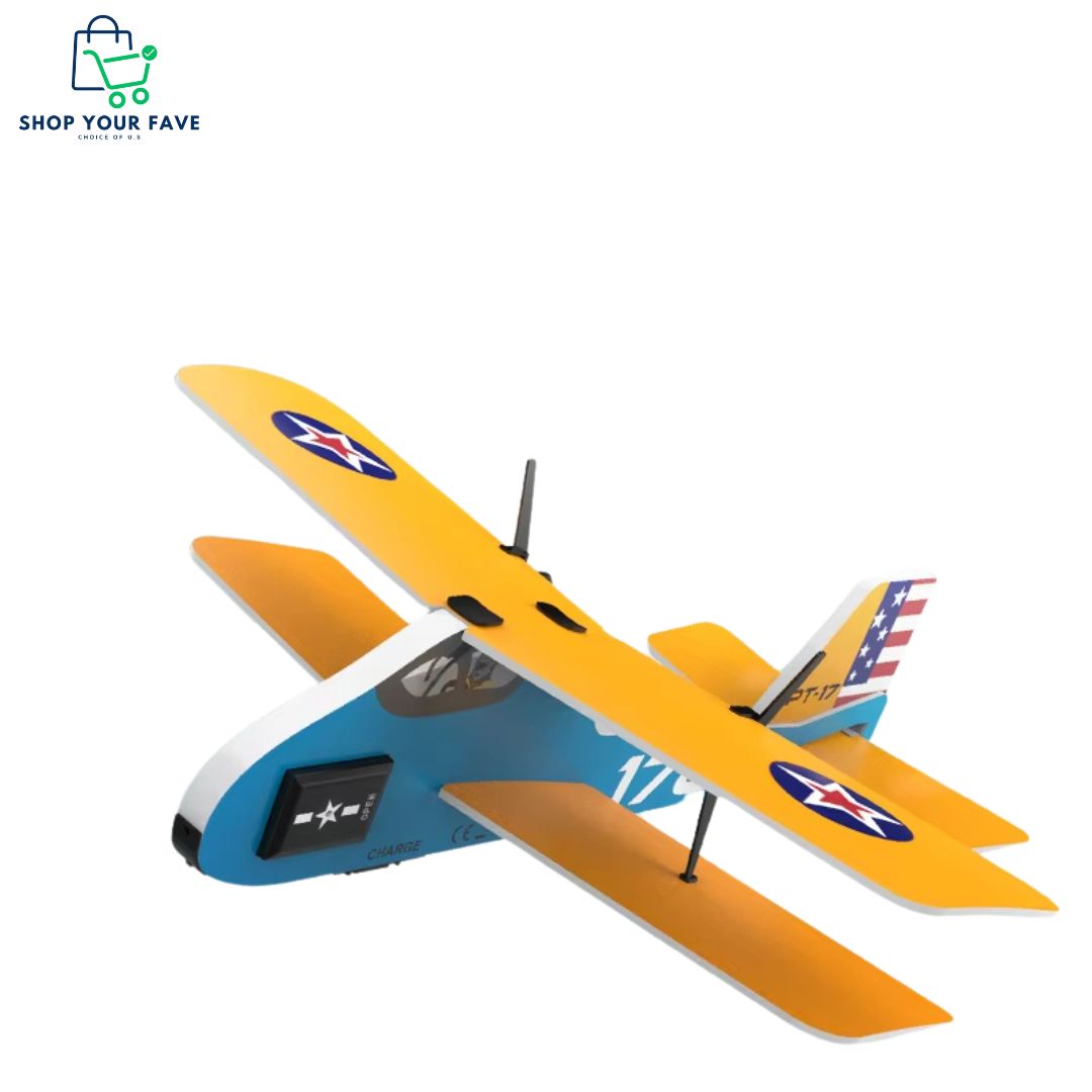 Mini 2.4G RC Airplane