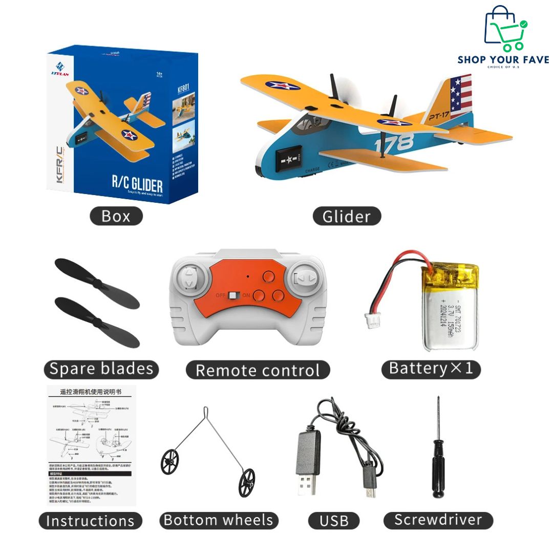 Mini 2.4G RC Airplane