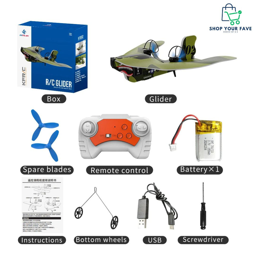 Mini 2.4G RC Airplane