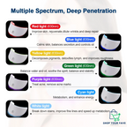 LED Face & Neck Mask